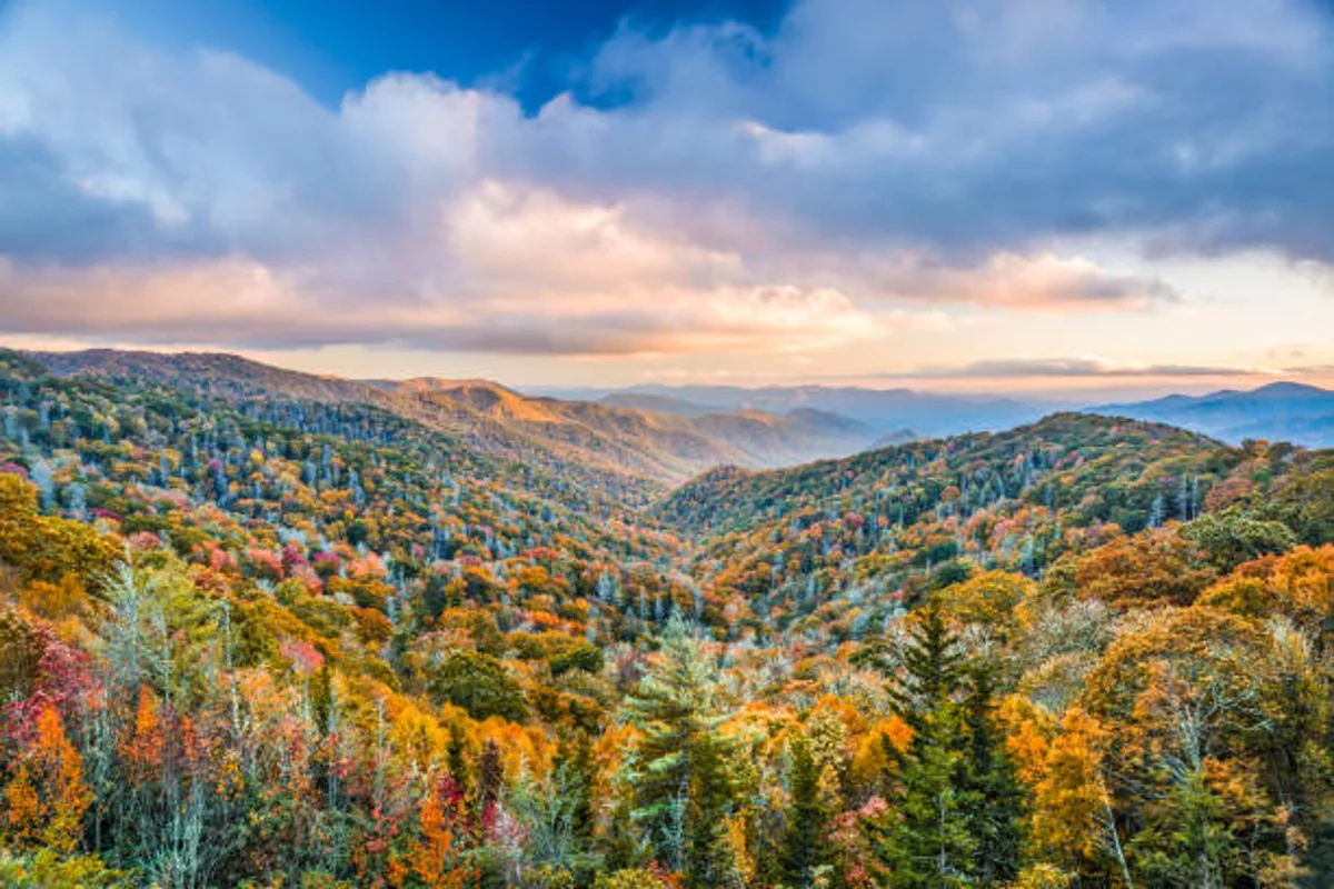A sweeping view of rolling hills, dense forests, and distant mountains under a dramatic sky, all awash in the vibrant colors of autumn. The scene is tranquil and immersive, capturing the grandeur of the Smoky Mountains.